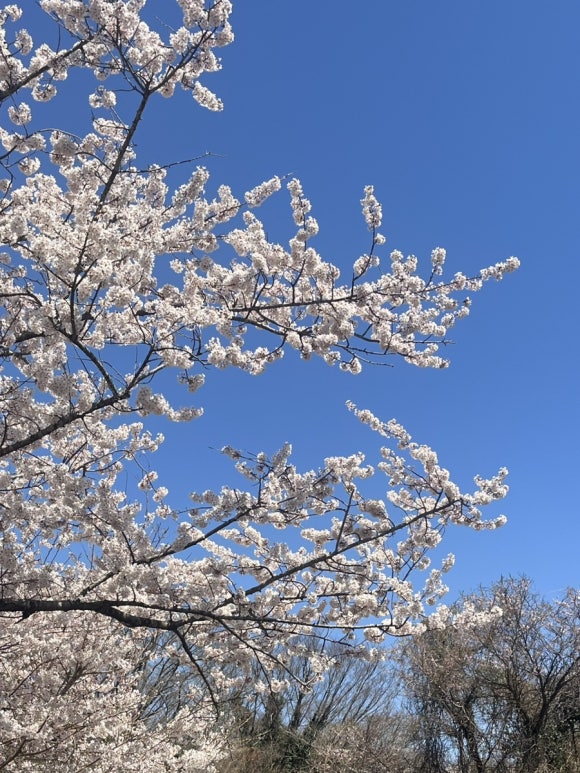 명화민박 이미지