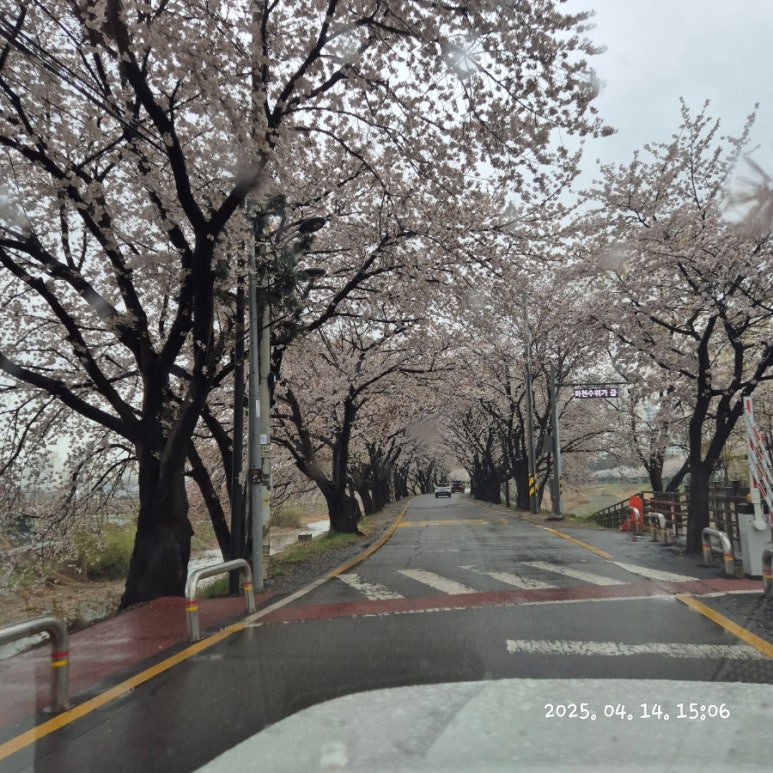 비비비마트 이미지