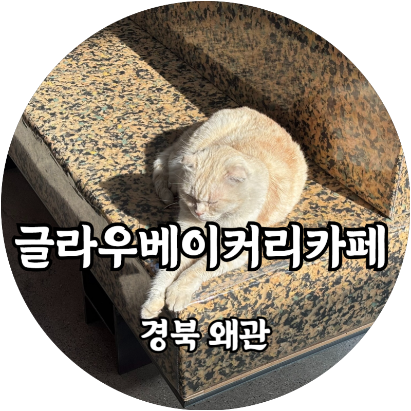 글라우 이미지