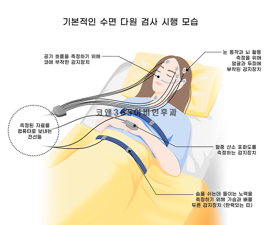 양주종합산소 이미지
