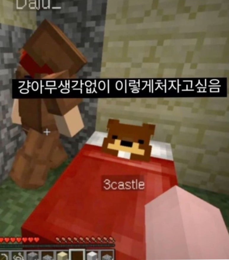 해바유 이미지
