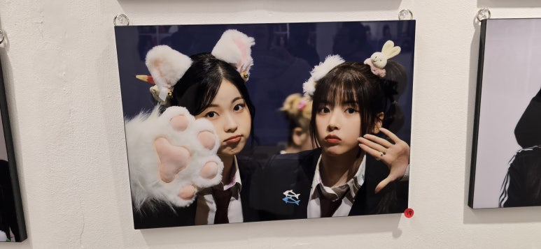 카페레온 이미지
