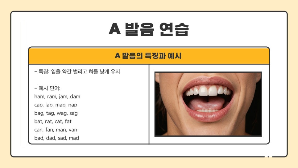 스텝스학원 이미지