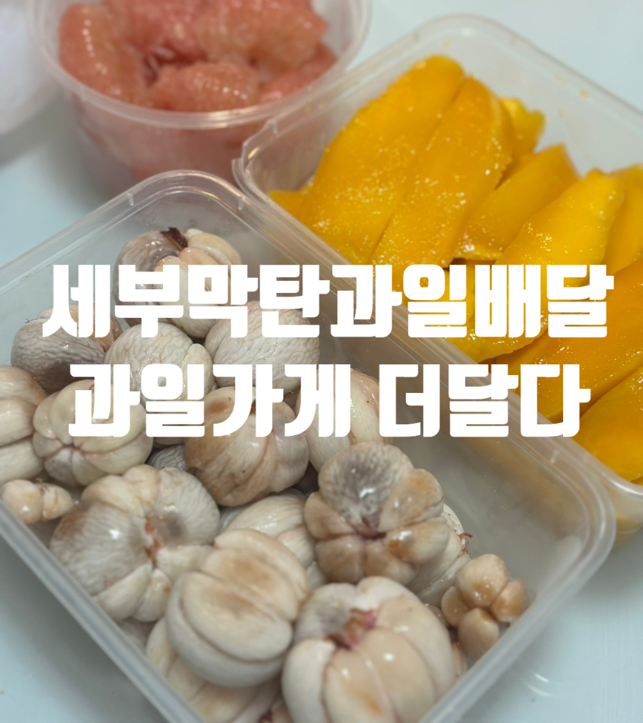 더달다 이미지