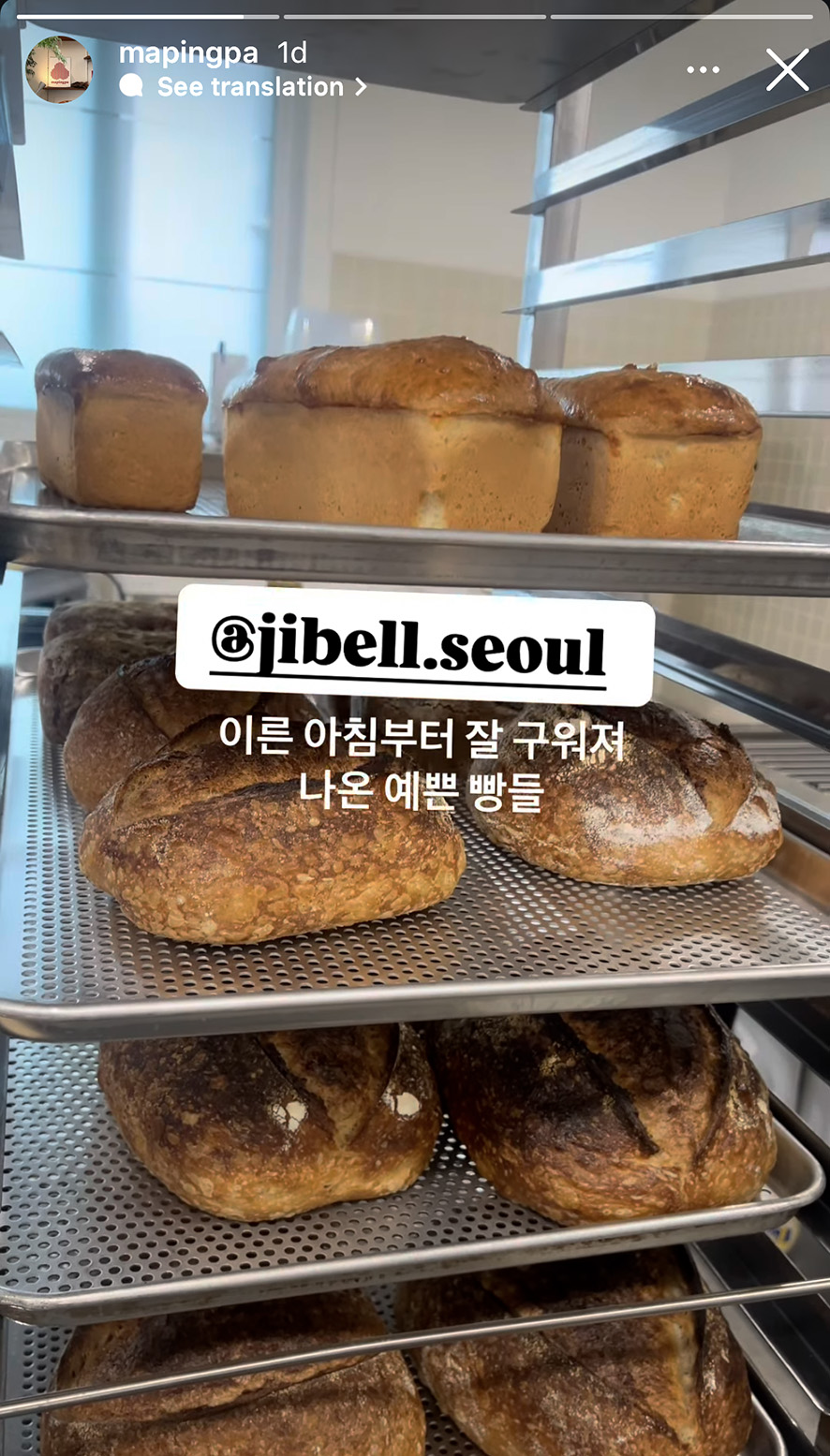 마핑파 이미지