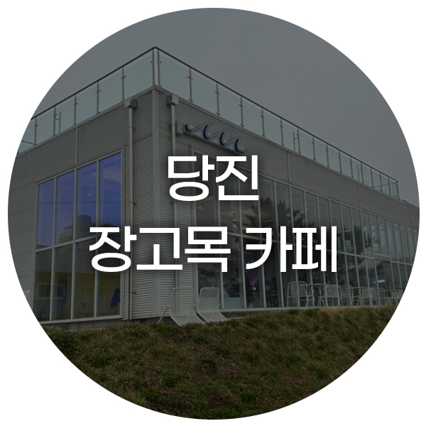 장고목 이미지