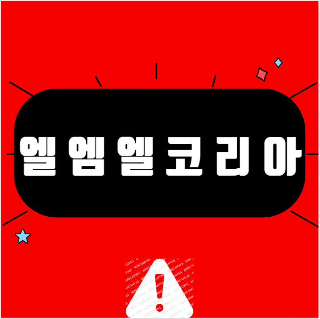 엘엠엘 이미지