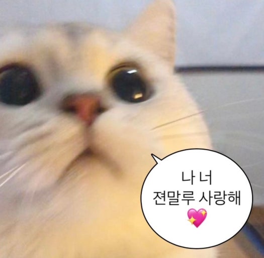 청계호수 자작나무숲 캠핑장 이미지