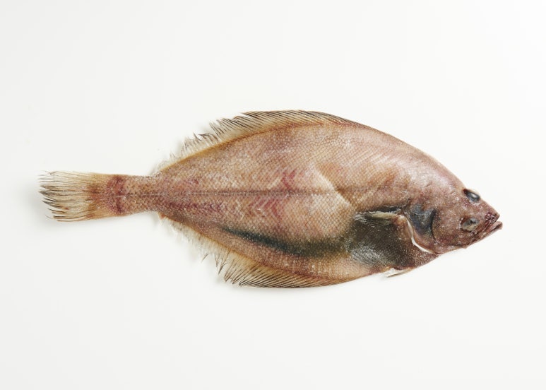 은석호 이미지