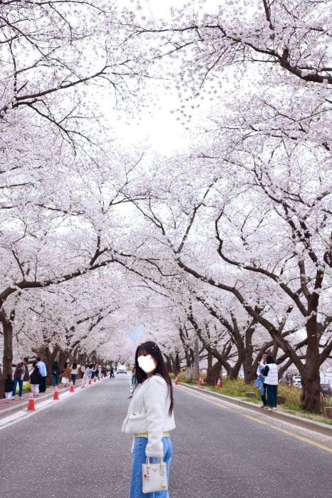 클린케이강릉 이미지