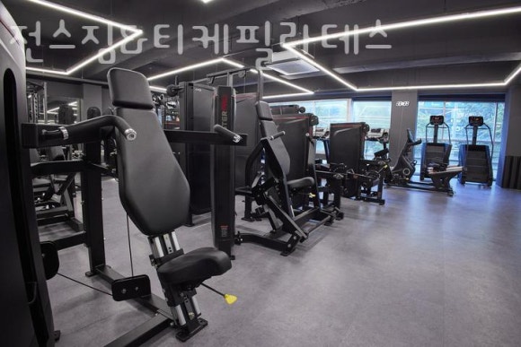 티케네 이미지