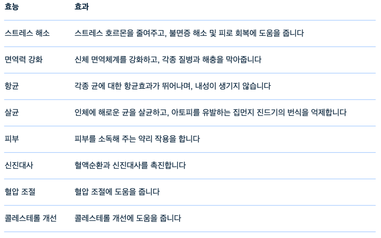 허니클린 이미지