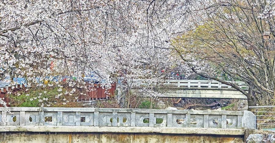 오개장 이미지