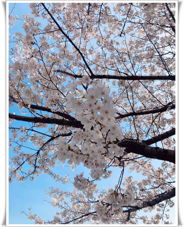 향기로운한의원 이미지