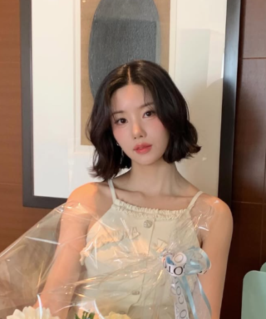 마샬헤어라인 이미지