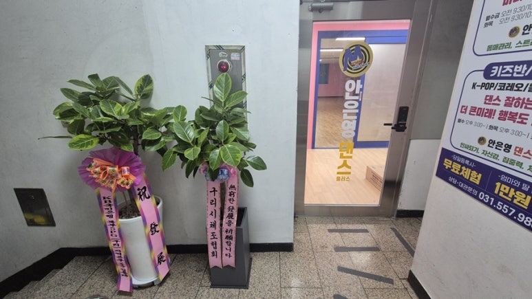 안은영댄스플러스 이미지