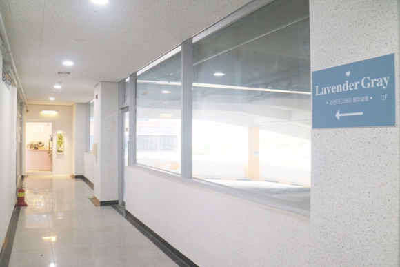 라벤더그레이 이미지