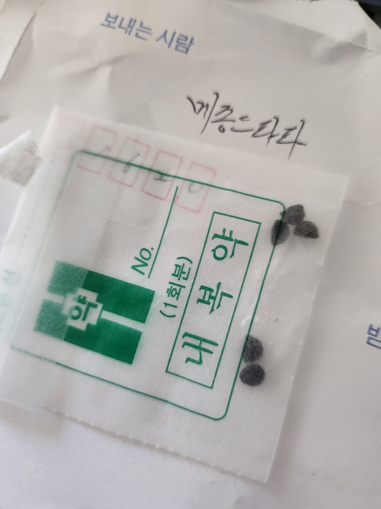 플라잉파파 이미지