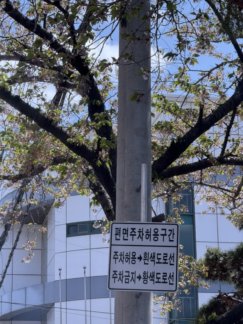 웅동가야밀면 이미지