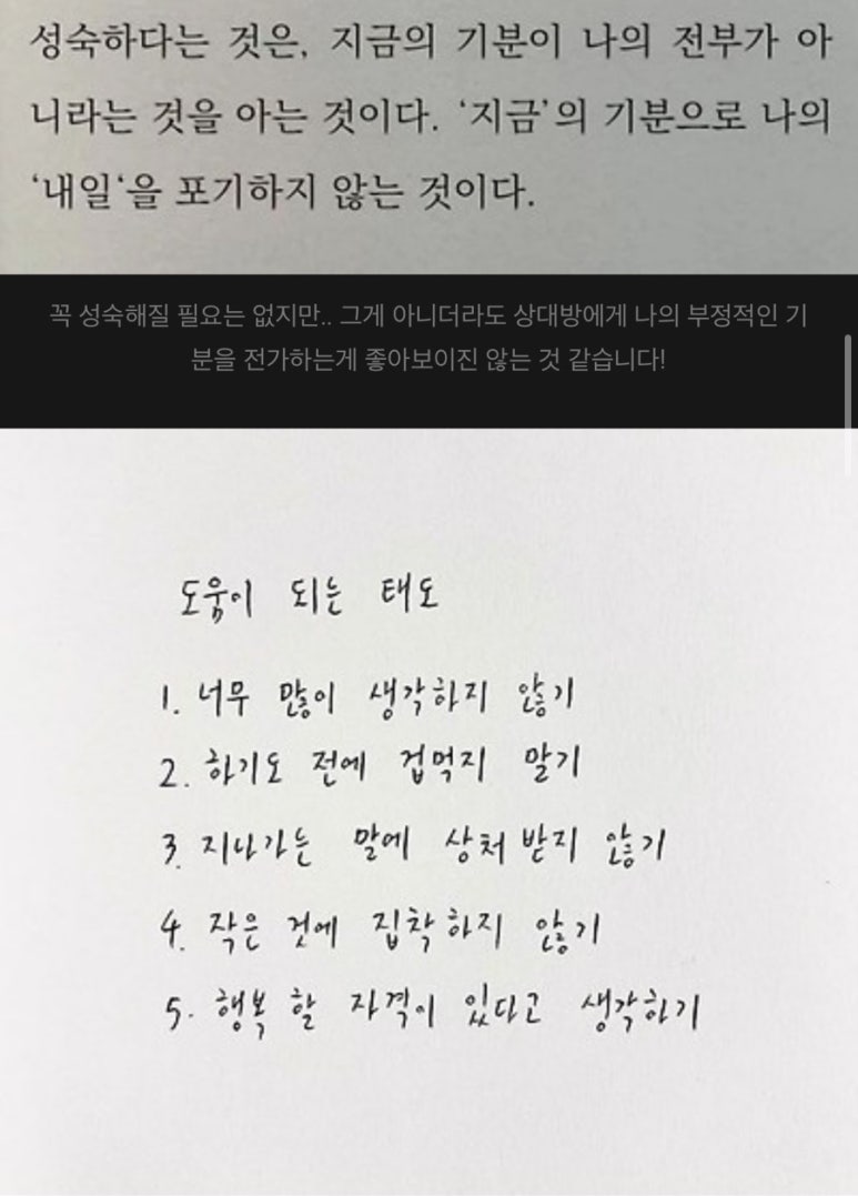 수디 이미지