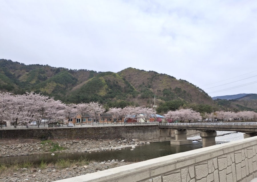 삼척엘림캠핑장 이미지