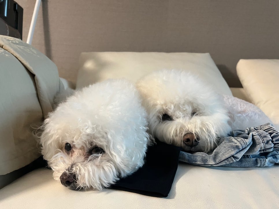 (주)이수카본 이미지