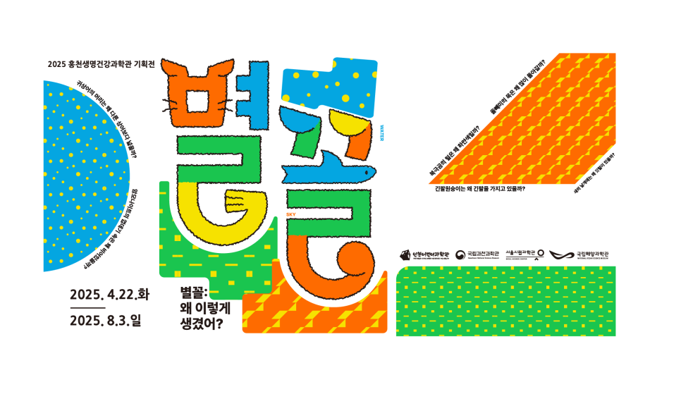 홍천기획 이미지