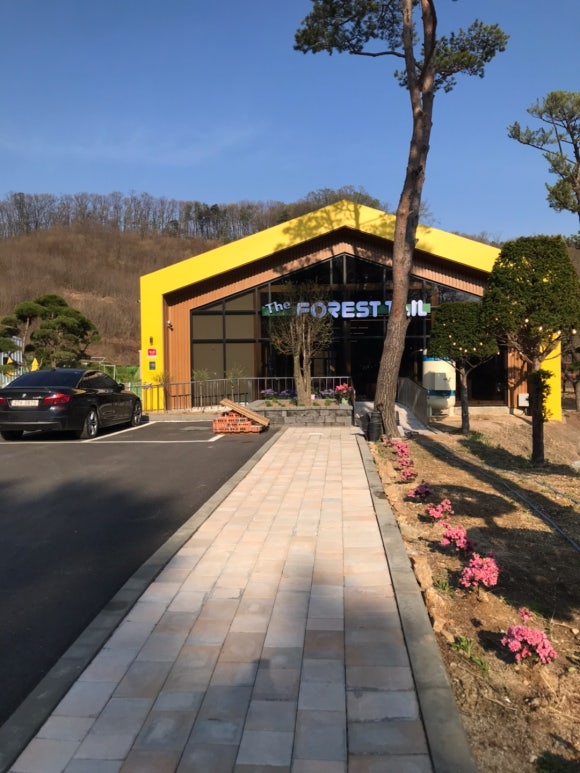 포레스트테일 이미지