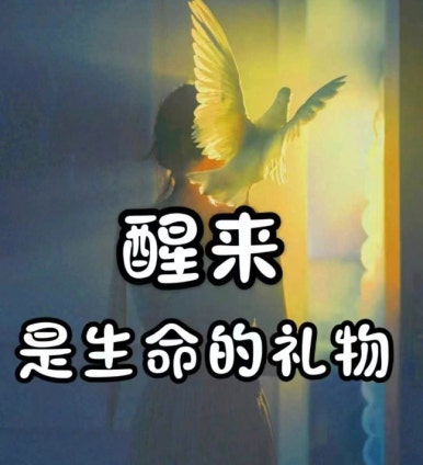 하얼빈테라피 이미지