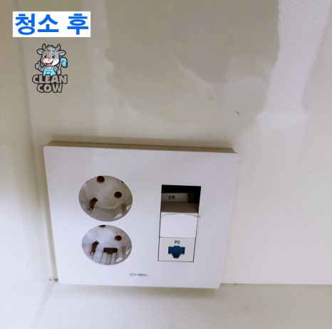 클린카우 이미지