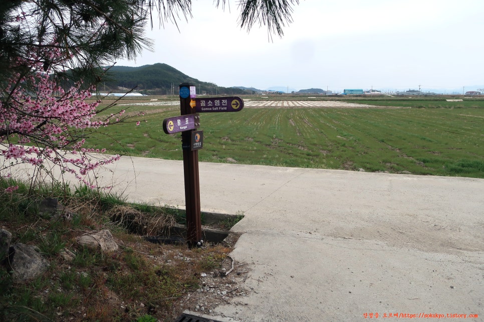 변산자연휴양림 이미지