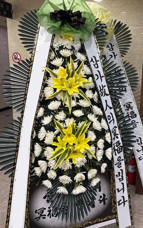 웰니스플라워 이미지