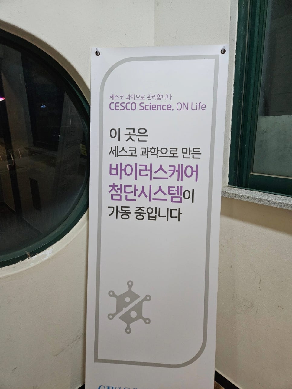 더차이타이 이미지