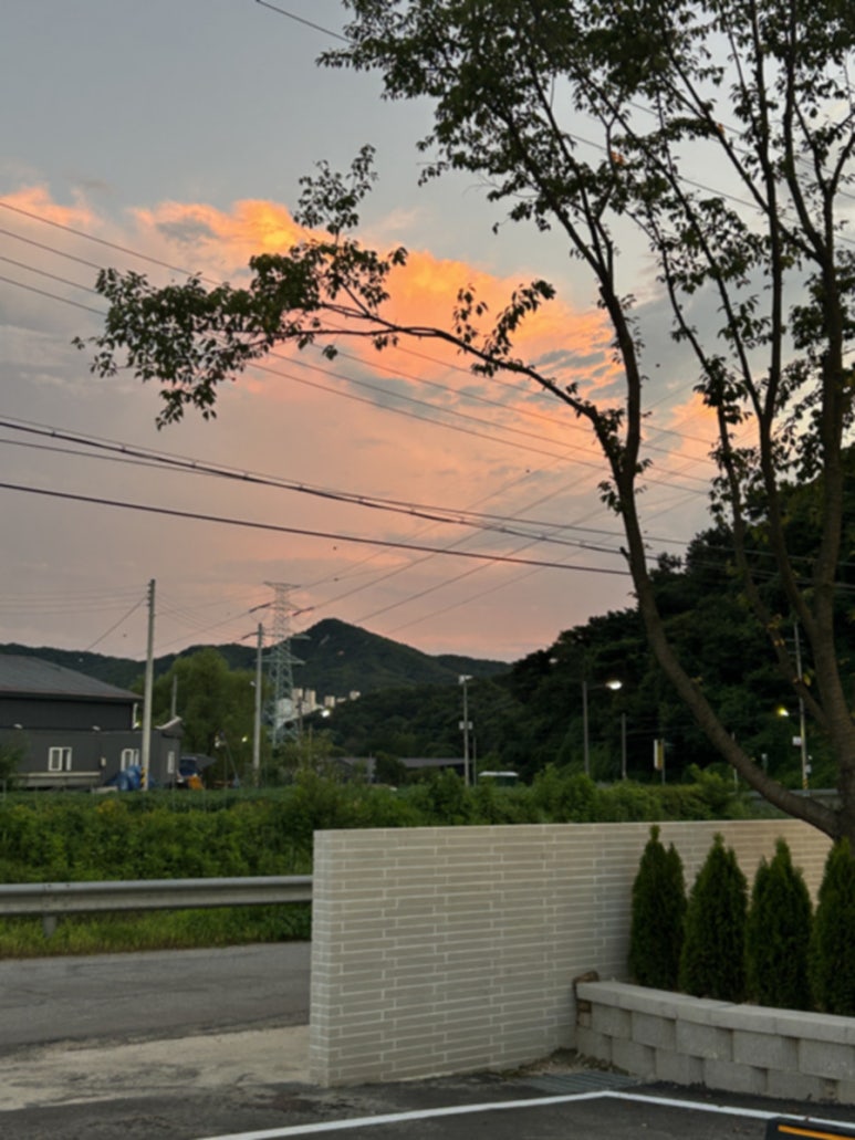 노하우스 이미지