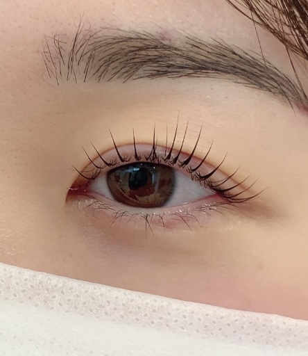 클라라뷰티라인 이미지