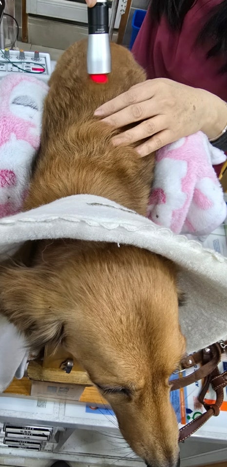 두암한방병원 이미지