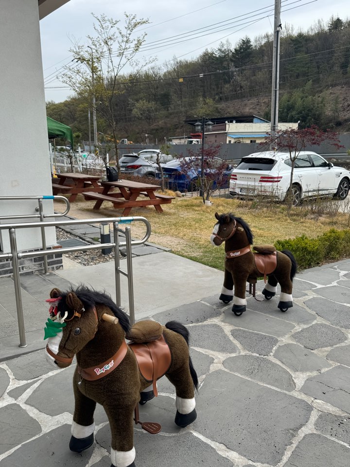 디포니 이미지