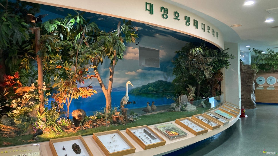 자연숨 이미지