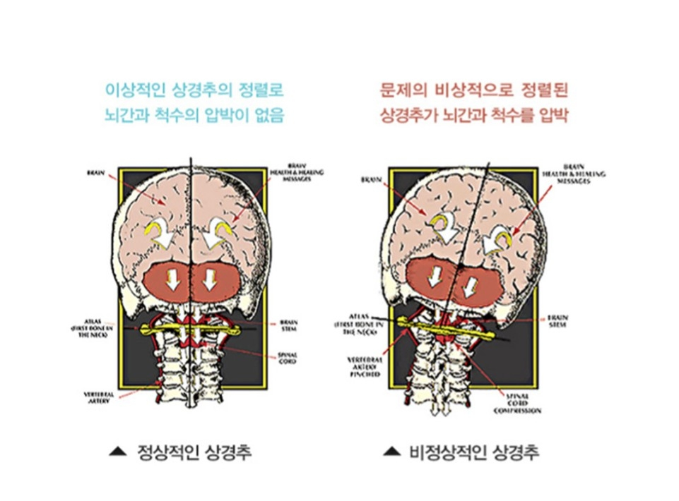 올림픽정형외과의원 이미지