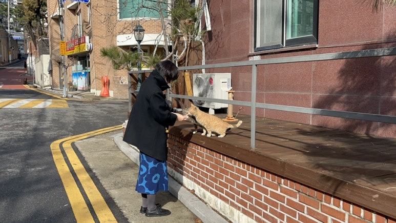 다빈냉면 이미지