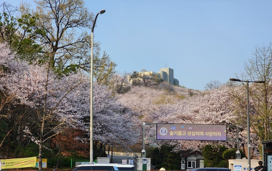 등촌중학교 이미지