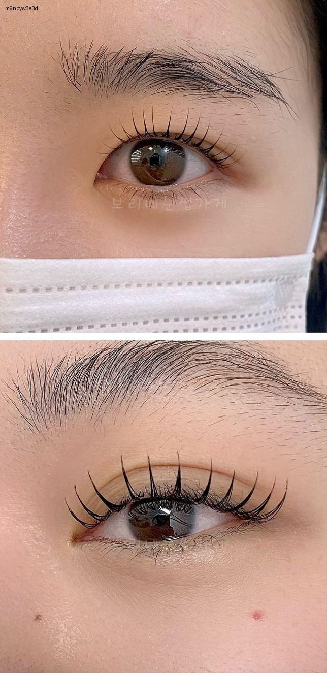 보리네일 이미지