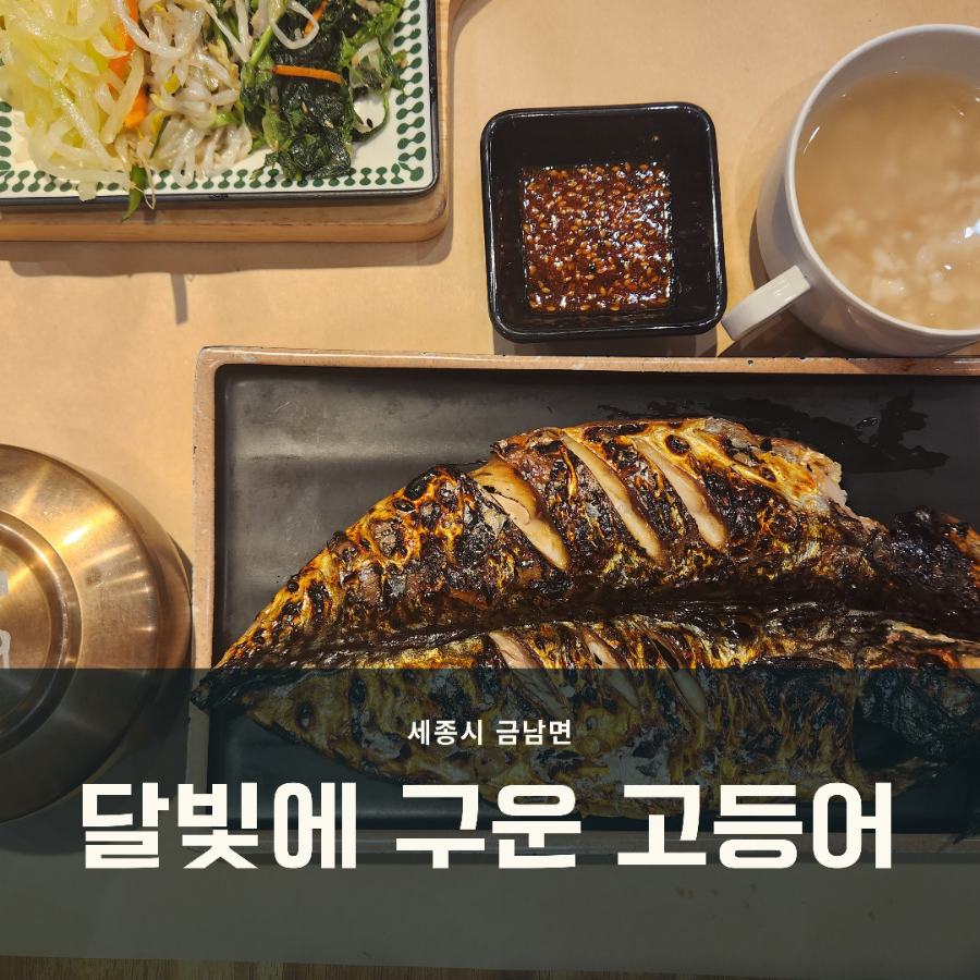 달빛에구운고등어세종대평점 이미지