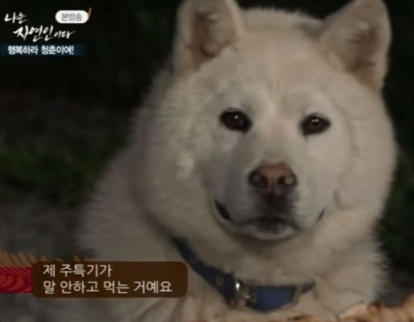 오떡순 이미지