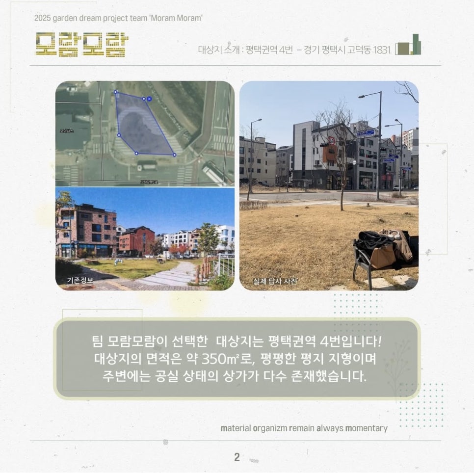 모람모람 이미지
