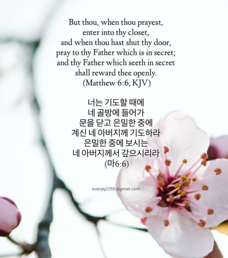태진소방 이미지