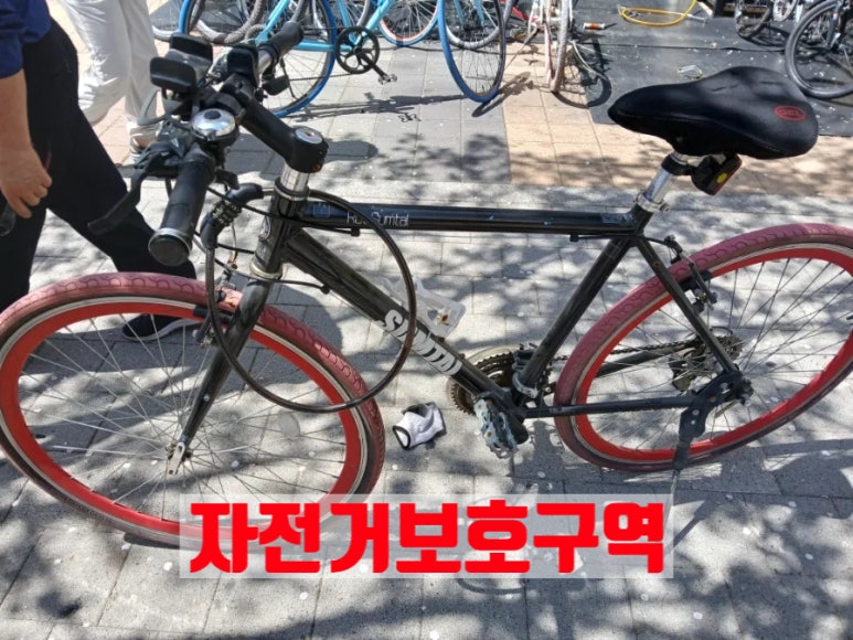 알씨티 이미지