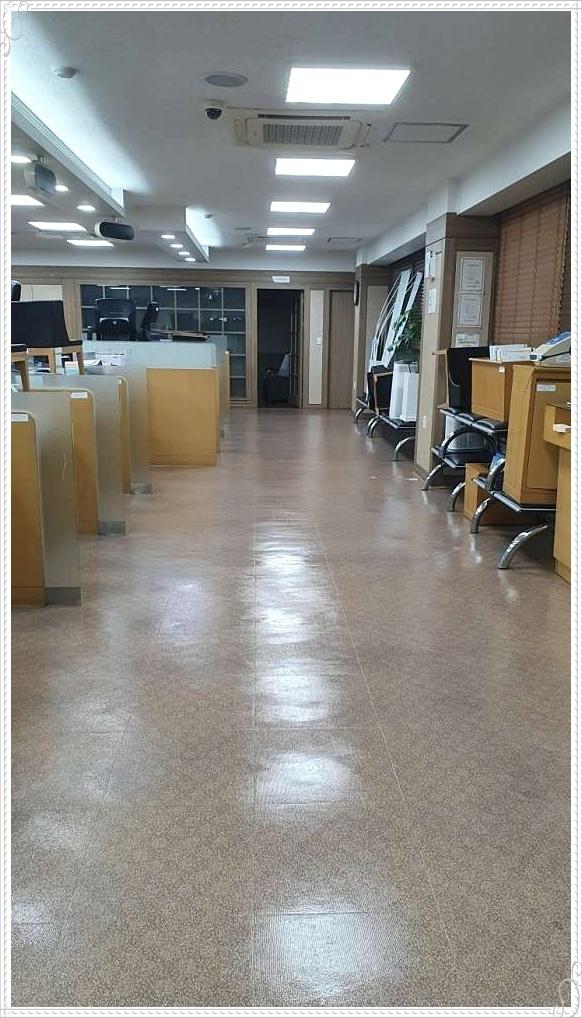 디원클린 이미지