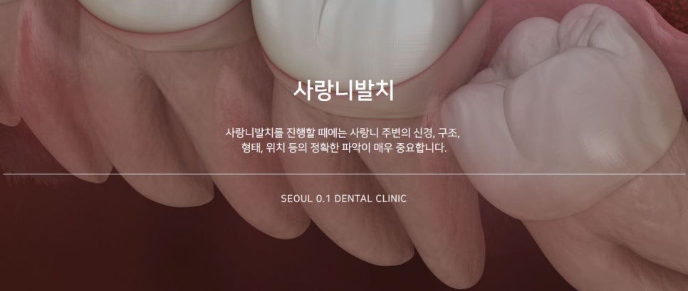 한성치과의원 이미지