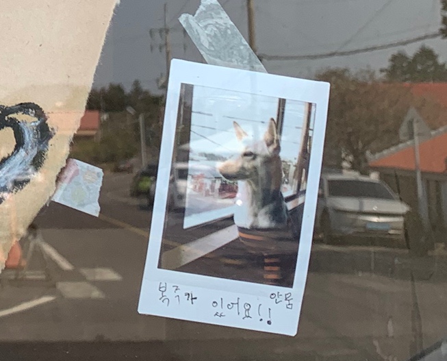 같이살자지구카페 이미지